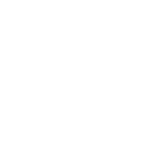P.J.SPOERER